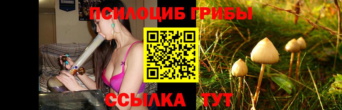 Галлюциногенные грибы MAGIC MUSHROOMS  Галлюциногенные грибы Psilocybine cubensis  Камышлов  Вход с VPN 
